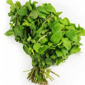 Hierbabuena / KG
