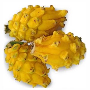 Pitaya x kilo