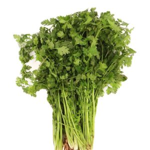 Cilantro x kilo