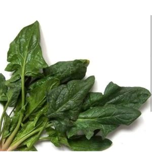 Espinaca común / KG
